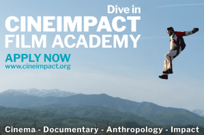 dive-in-afis-orizontal